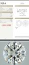 4.05ct G VVS2 $870000 GIA2145020209