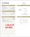 1.02 D IF GIA5201257362